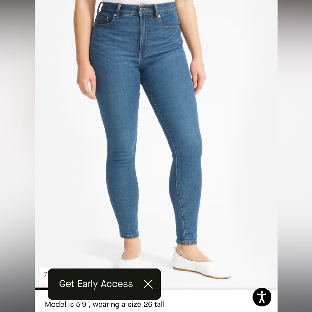 Everlane Authentic High Rise Skinny Jeans
